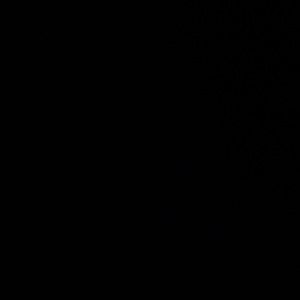 Meet your Posher, Ruiz